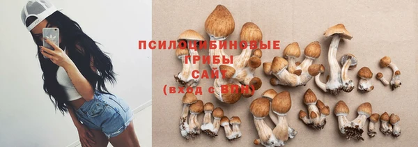 стафф Нязепетровск